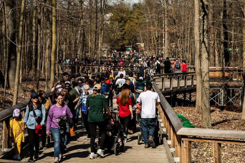 Toronto: Toronto Zoo Entry Ticket - What the $22 ticket buys you, and why it is fair value