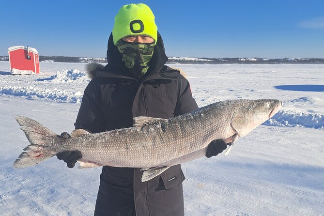 Ultimate Ice Fishing with Lunch - Quick hits for your Ultimate Ice Fishing day