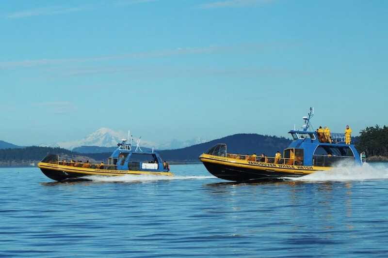 Vancouver, BC: Whale Watching Tour with Guide - The real itinerary: what 3 to 5 hours feels like on the water