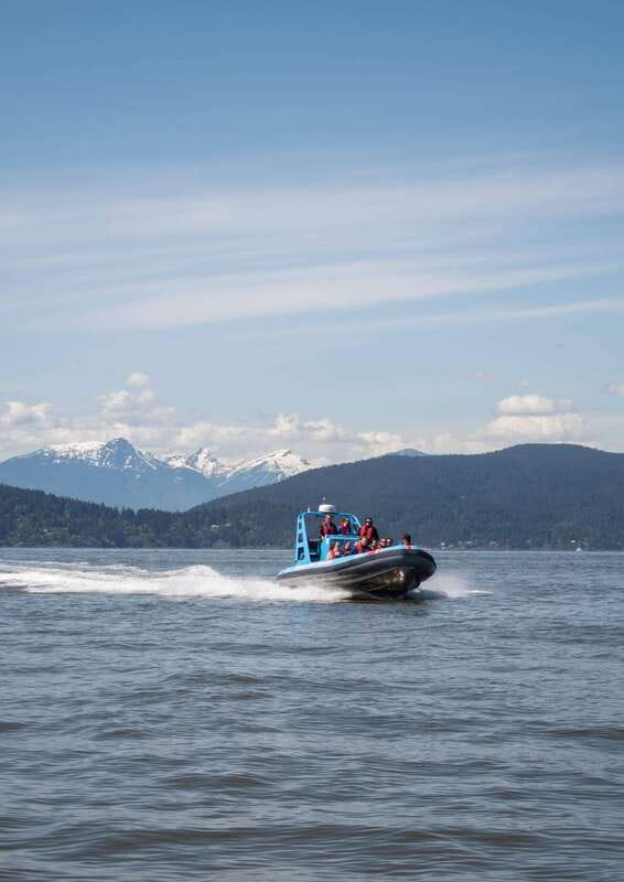 Vancouver: Boat to Bowen Island on UNESCO Howe Sound Fjord - Getting close to seal colonies in small Zodiacs