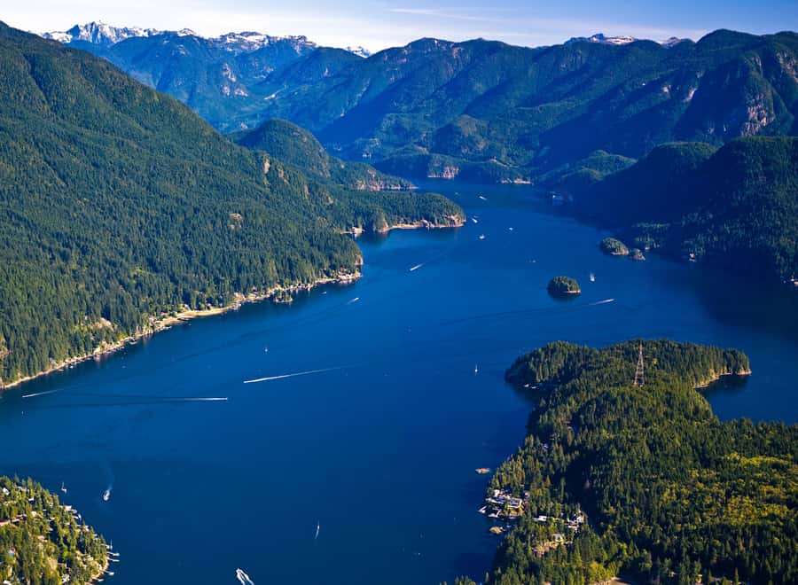 Vancouver Brunch Cruise - Boarding at 501 Denman Street, Why Timing Matters