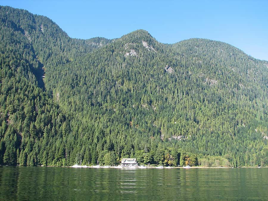 Vancouver Brunch Cruise - What the Brunch Buffet Feels Like on a Cruise (And What to Expect)