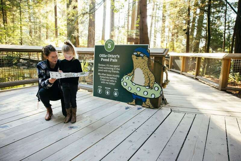 Vancouver: Capilano Suspension Bridge Park Ticket - Should You Book a Capilano Suspension Bridge Park Ticket?
