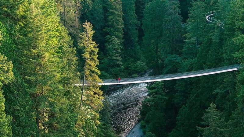 Vancouver: Capilano Suspension Bridge Park Ticket - Getting There from Downtown Vancouver: The Free Shuttle Works, Plan for Crowds
