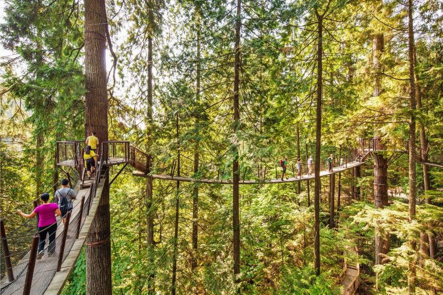 Vancouver: Capilano Suspension Bridge Park Ticket - Nature Guide Talks and On-Site Learning That Actually Adds Meaning