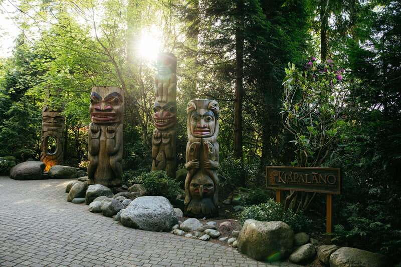 Vancouver: Capilano Suspension Bridge Park Ticket - Food, Snacks, and Luggage Storage, How to Keep Your Day Comfortable