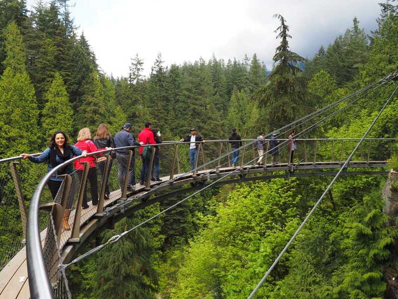 Vancouver City and Capilano Park Private Tour - North Shore by Lions Gate Bridge, Then Capilano Park
