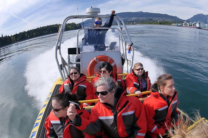 Vancouver City and Harbour Waterfront Sightseeing Boat Tour - Wildlife odds: bald eagles, seals, dolphins, and a gray whale bonus