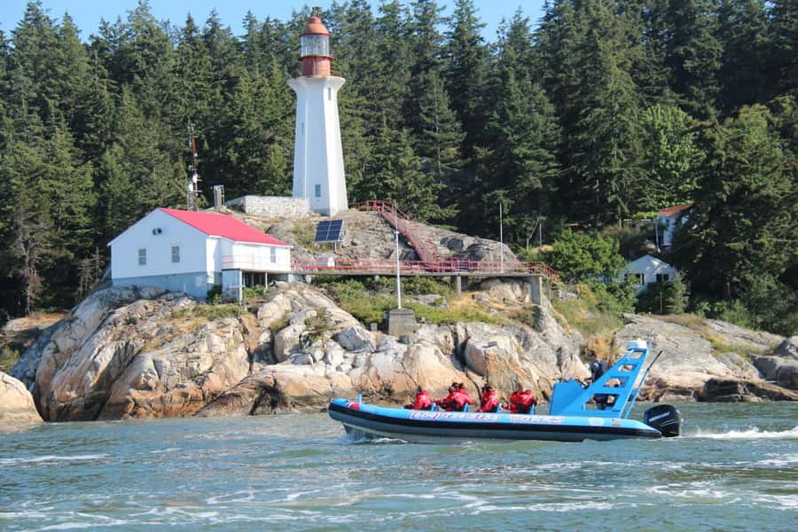 Vancouver: City and Seals Boat Tour - Key Stops You Will Actually Care About