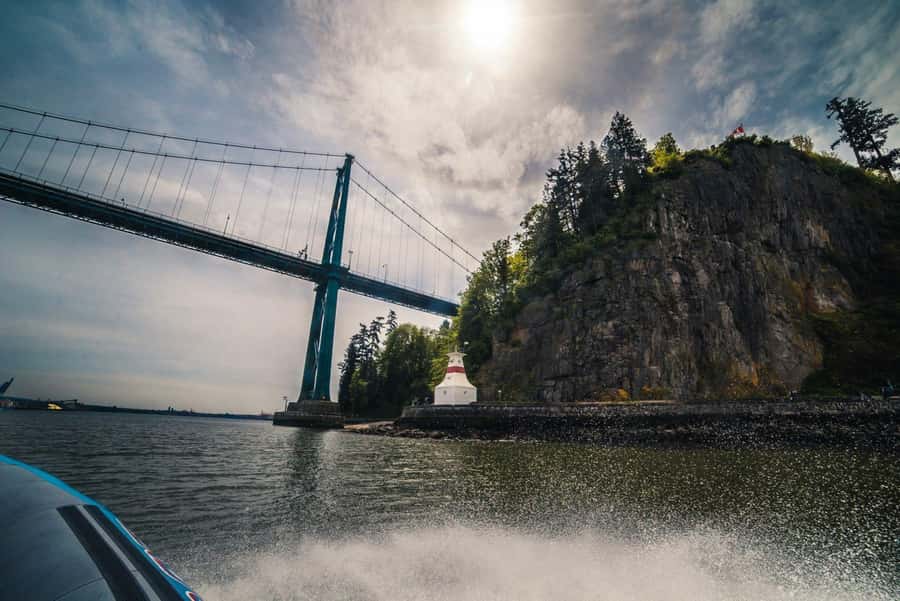 Vancouver: City and Seals Boat Tour - The Seal Colony Moment: What You Should Expect to See