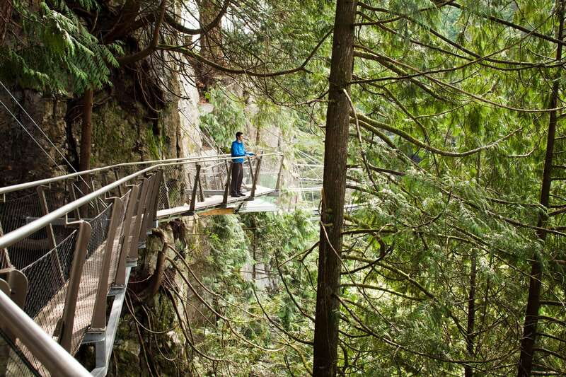 Vancouver: City+Lookout+Capilano Suspension Bridge Ticket - How This Tour Fits a Real One-Day Vancouver Plan