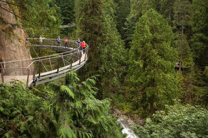 Vancouver: City+Lookout+Capilano Suspension Bridge Ticket - Granville Island (1 Hour): Market Browsing Without Stress