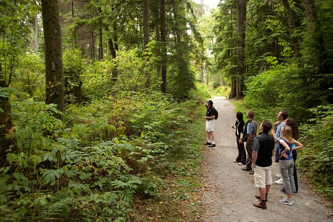Vancouver City & Lookout Tour and Option to Add Airport Drop Off - Stanley Park: Cedar Forest, North Shore Views, and Brockton Point Totems