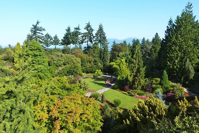 Vancouver City Tour with Admission to Lookout Tower - Guides Make or Break the Experience, and This One Tends to Shine