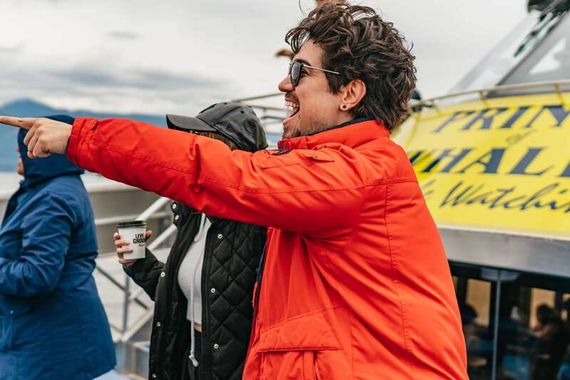 Vancouver: Covered Whale Watching Adventure with Free Photos - Wildlife you’re actively searching for: whales, porpoises, seals, and seabirds