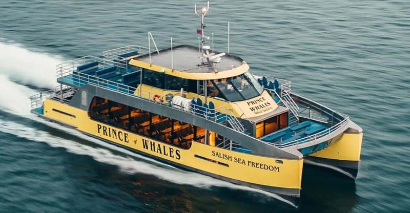 Vancouver: Covered Whale Watching Adventure with Free Photos - Free photos and the photo package: fewer missed moments