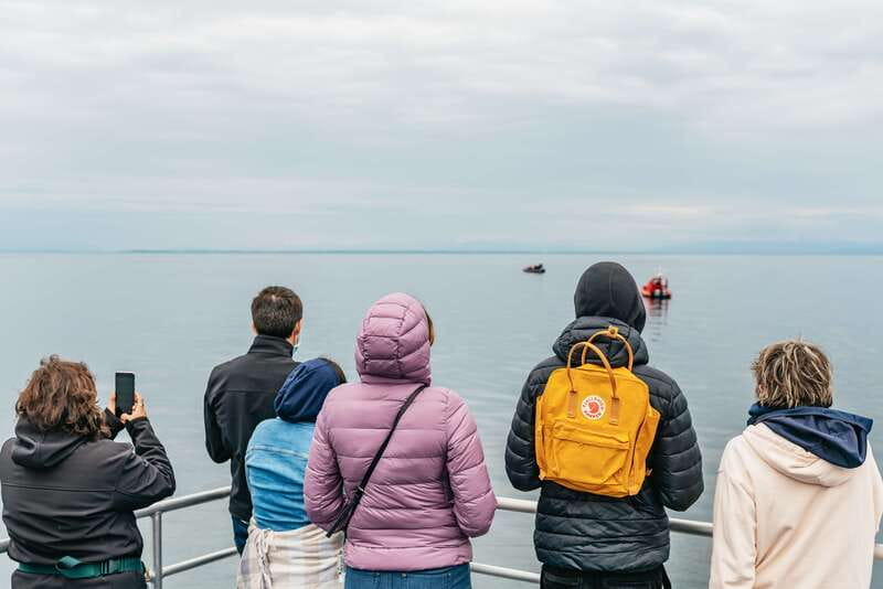 Vancouver: Covered Whale Watching Adventure with Free Photos - What to bring and what to avoid on a wildlife catamaran