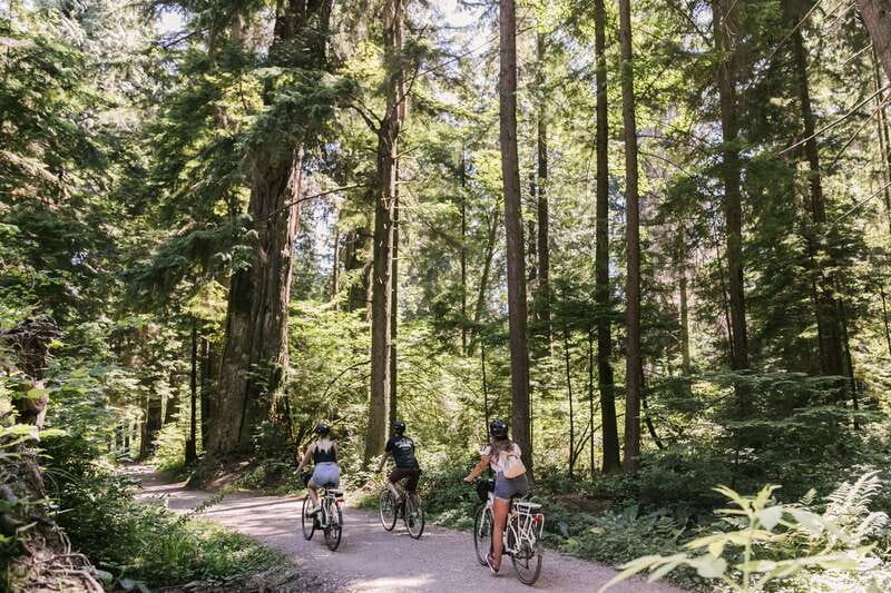 Vancouver: Guided Bike Tour - False Creek waterfront and Olympic Village: skyline views plus context