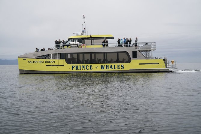 Vancouver Half-Day Whale Watching Adventure with Free Photos - A heated catamaran leaves from Granville Island, not a parking lot far away