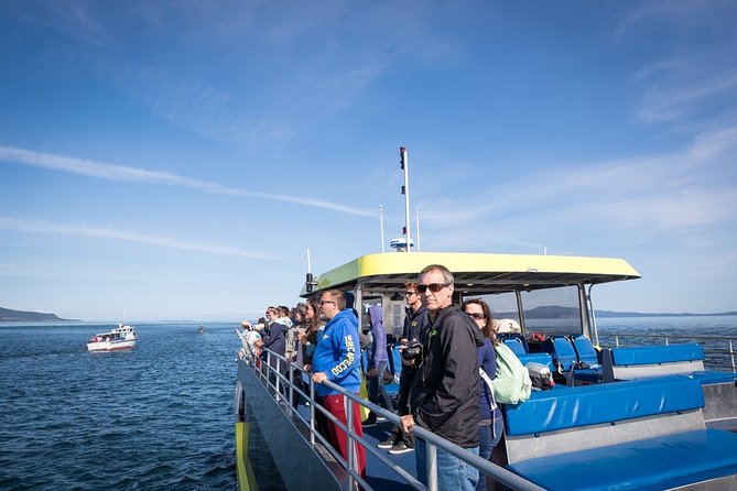 Vancouver Half-Day Whale Watching Adventure with Free Photos - What the naturalists do with your attention: spotting whales you can actually recognize