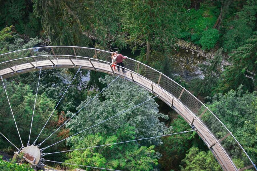 Vancouver Highlights: Capilano Bridge & Granville Island - Key Highlights You’ll Actually Feel on This Tour