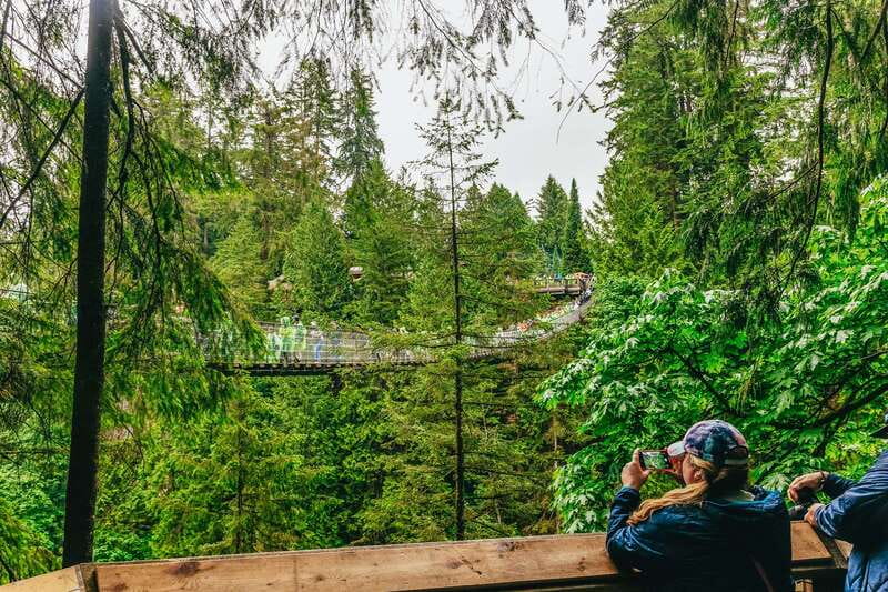 Vancouver Highlights: Capilano Bridge & Granville Island - Capilano Suspension Bridge Park: Where the Scenery Turns Into a Real Walk