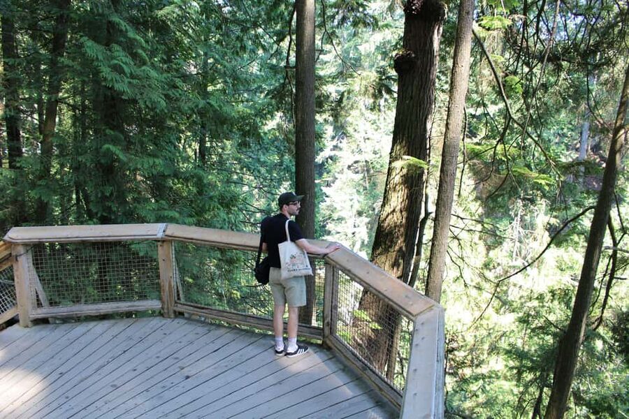 Vancouver Highlights: Capilano Bridge & Granville Island - Stanley Park: Urban Rainforest Views Without the Full-Day Commitment