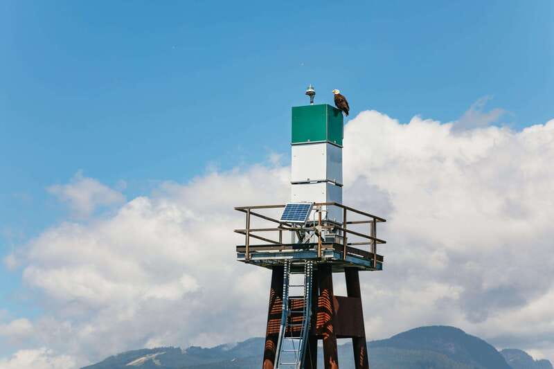 Vancouver: Indian Arm and Granite Falls Zodiac Boat Tour - Siwash Rock, Deep Cove, and the wildlife factor