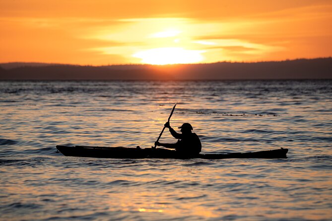 Vancouver Island: 2-Hour Evening Kayak Tour from Telegraph Cove - Key highlights you will care about