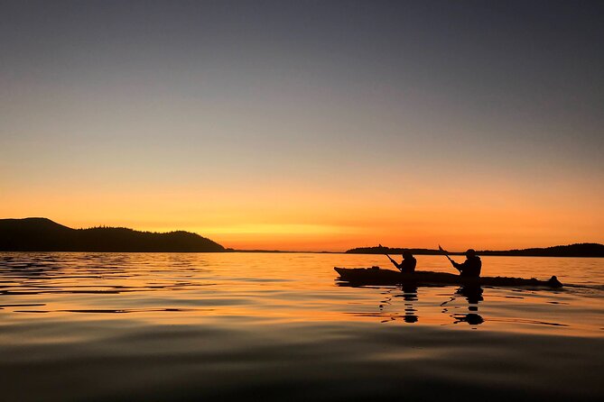Vancouver Island: 2-Hour Evening Kayak Tour from Telegraph Cove - Why paddling the Johnstone Strait at night changes the game