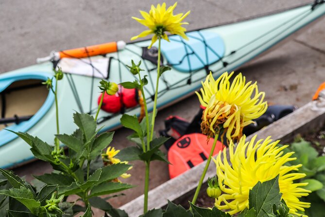 Vancouver Island: 2-Hour Evening Kayak Tour from Telegraph Cove - Fitness, comfort, and what to pack for a wet evening