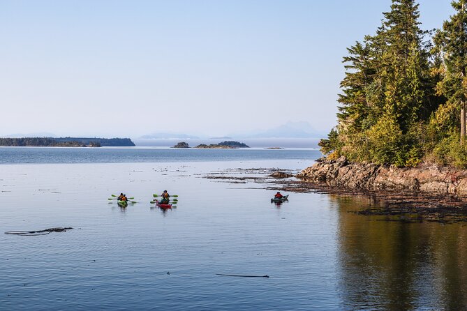 Vancouver Island: 2-Hour Evening Kayak Tour from Telegraph Cove - When weather cancels, you still have options