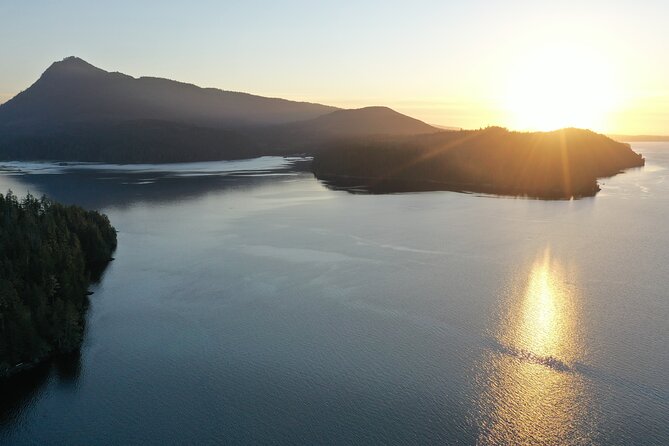 Vancouver Island: 2-Hour Evening Kayak Tour from Telegraph Cove - Who should book this Telegraph Cove evening kayak tour