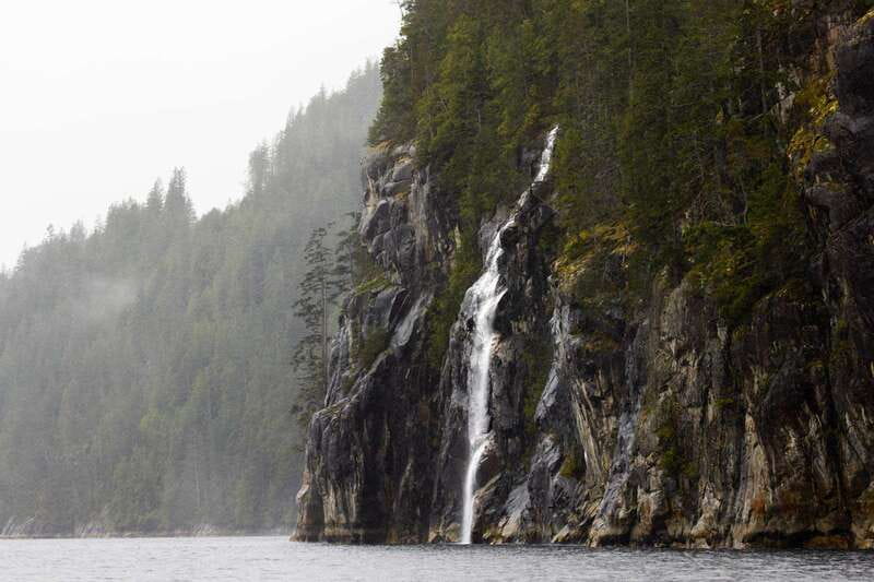 Vancouver Island: Full-Day Grizzly Bear Tour at Toba Inlet - Klahoose First Nation grizzly viewing on land, with real expectations management