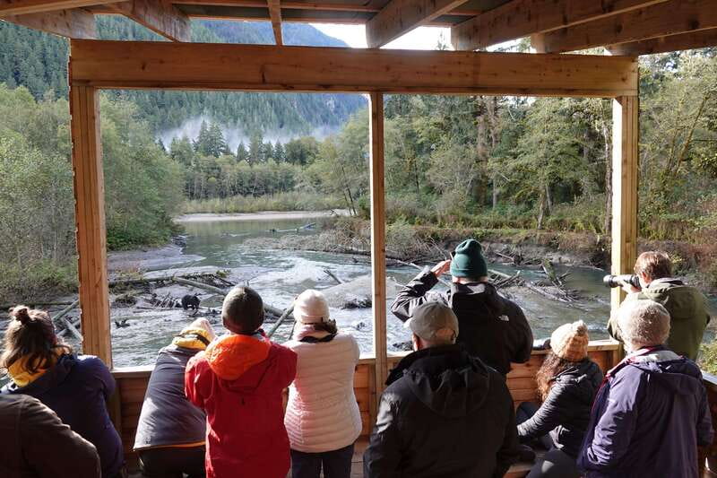 Vancouver Island: Full-Day Grizzly Bear Tour at Toba Inlet - Food, drinks, and onboard comfort that keep a long day workable