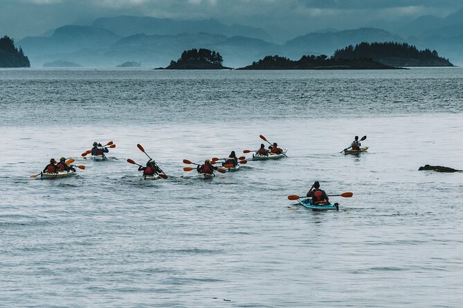 Vancouver Island: Full-Day Kayak Tour from Telegraph Cove - Key things I’d clock before you go