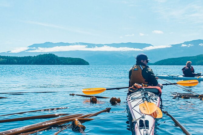 Vancouver Island: Full-Day Kayak Tour from Telegraph Cove - Telegraph Cove to the real Johnstone Strait: why this day feels different