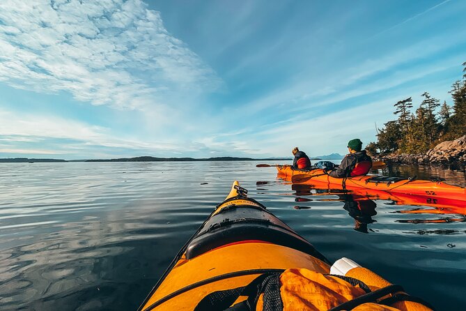 Vancouver Island: Full-Day Kayak Tour from Telegraph Cove - Weather realities on the water: how to think about risk and comfort