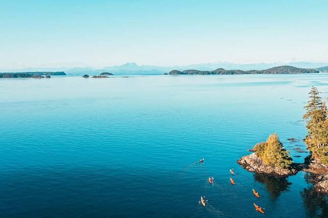 Vancouver Island: Full-Day Kayak Tour from Telegraph Cove - Price and what you actually get for $166.11