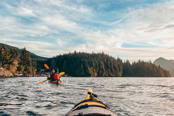 Vancouver Island: Half-Day Kayak Tour from Telegraph Cove - Key points before you paddle