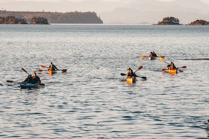 Vancouver Island: Half-Day Kayak Tour from Telegraph Cove - Morning or afternoon: how the half-day choice works