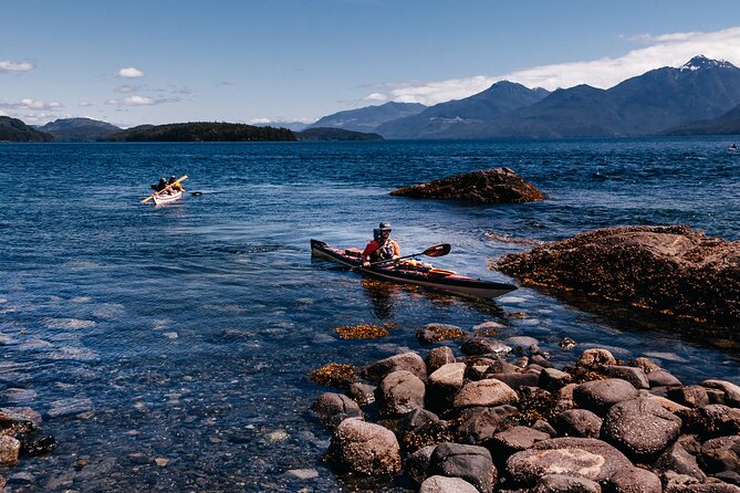 Vancouver Island: Half-Day Kayak Tour from Telegraph Cove - Shallows, intertidal life, and deeper-water sightings