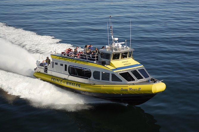 Vancouver Island Half-Day Whale Watching Tour - Telegraph Cove - Where Telegraph Cove Fits Into Vancouver Island Whale Country