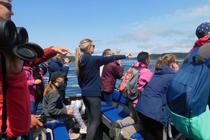 Vancouver Island Half-Day Whale Watching Tour - Telegraph Cove - The Crew and the Onboard Talk That Makes Wildlife Feel Understandable