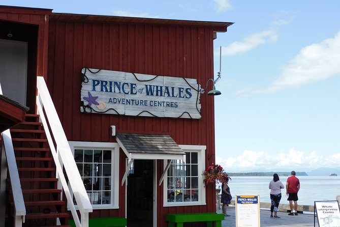 Vancouver Island Half-Day Whale Watching Tour - Telegraph Cove - Quick Tips Before You Go From Telegraph Cove