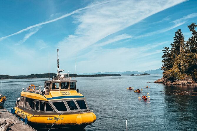 Vancouver Island Half-Day Whale Watching Tour - Telegraph Cove - How Whale Sightings Guarantee Can Reduce Your Biggest Worry