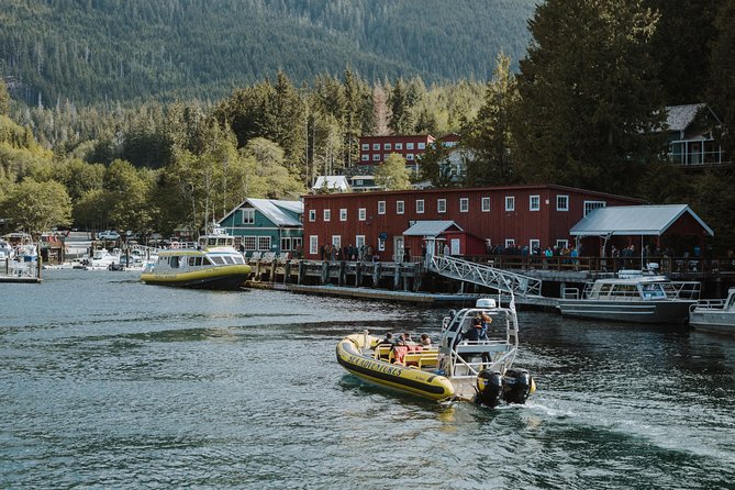 Vancouver Island Zodiac Whale Watching Adventure - Telegraph Cove - Key things I’d mark on my map before booking