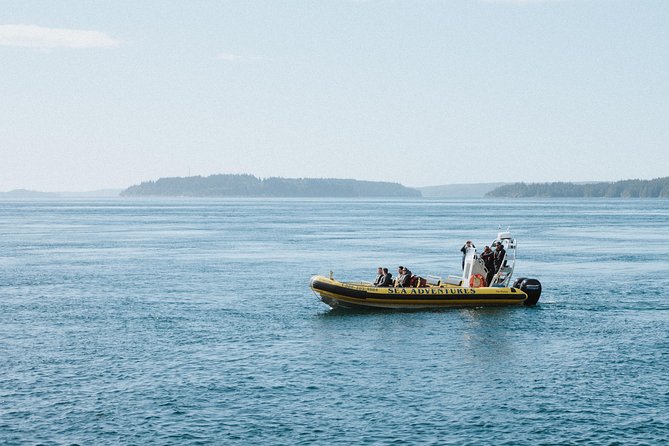 Vancouver Island Zodiac Whale Watching Adventure - Telegraph Cove - The 3-Hour Flow: From Telegraph Cove Marina to Open Water and Back