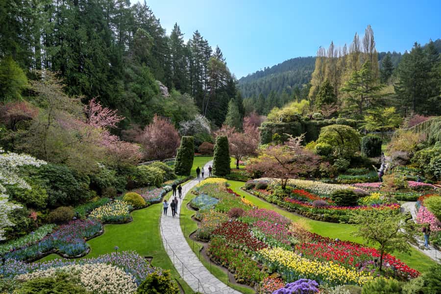 Vancouver: Islands Cruise, Butchart Gardens, & Victoria Tour - Key highlights to look for on this tour