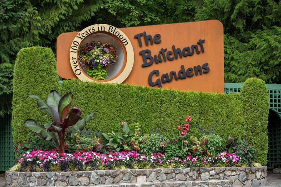 Vancouver: Islands Cruise, Butchart Gardens, & Victoria Tour - From downtown Vancouver to Tsawwassen, a day starts early